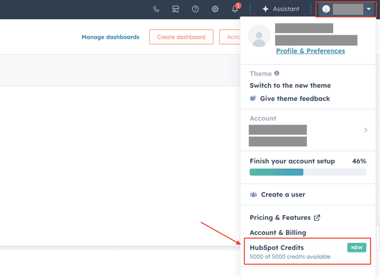 HubSpot Credits - Account Settings