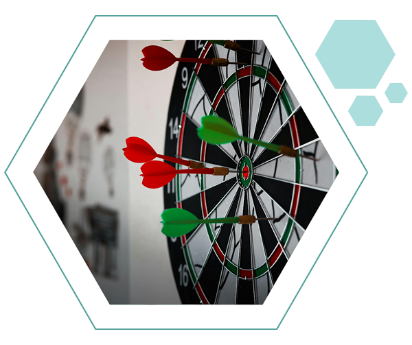 target-233243